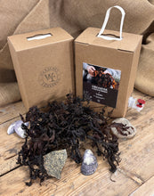 Ladda upp bild till gallerivisning, Växtnäring med tång