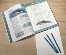 Ladda upp bild till gallerivisning, Teckna och måla havets djur