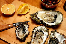 Ladda upp bild till gallerivisning, Ciona umami fond 200 ml