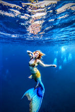 Ladda upp bild till gallerivisning, Sjöjungfruns äventyr i Östersjön