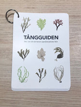 Ladda upp bild till gallerivisning, Tångguiden