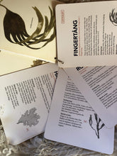 Ladda upp bild till gallerivisning, Tångguiden