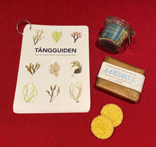 Ladda upp bild till gallerivisning, Tångguiden