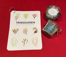 Ladda upp bild till gallerivisning, Tångguiden