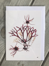 Ladda upp bild till gallerivisning, Vykort med pressad tång