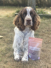 Ladda upp bild till gallerivisning, Musselmunch hundgodis