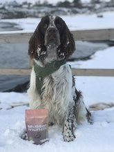 Ladda upp bild till gallerivisning, Musselmunch hundgodis