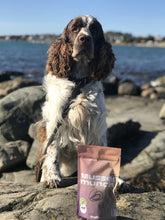Ladda upp bild till gallerivisning, Musselmunch hundgodis