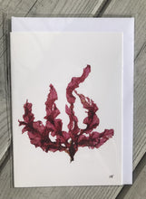 Ladda upp bild till gallerivisning, Vykort med pressad tång