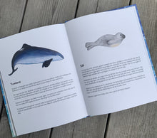 Ladda upp bild till gallerivisning, Sjöjungfruns äventyr i Östersjön