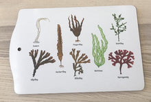 Ladda upp bild till gallerivisning, Serveringsbräda med tång