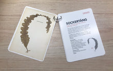 Ladda upp bild till gallerivisning, Tångguiden