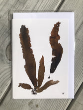 Ladda upp bild till gallerivisning, Vykort med pressad tång