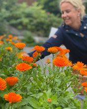 Ladda upp bild till gallerivisning, Tvål - Tång och Trädgård