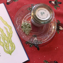 Ladda upp bild till gallerivisning, Tångkullans tångsalt