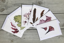 Ladda upp bild till gallerivisning, Vykort med pressad tång