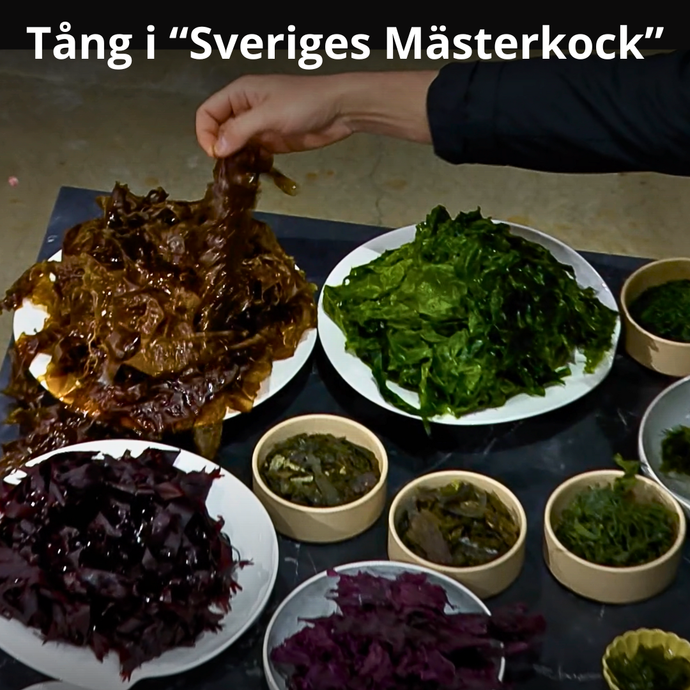 Tång i Sveriges Mästerkock