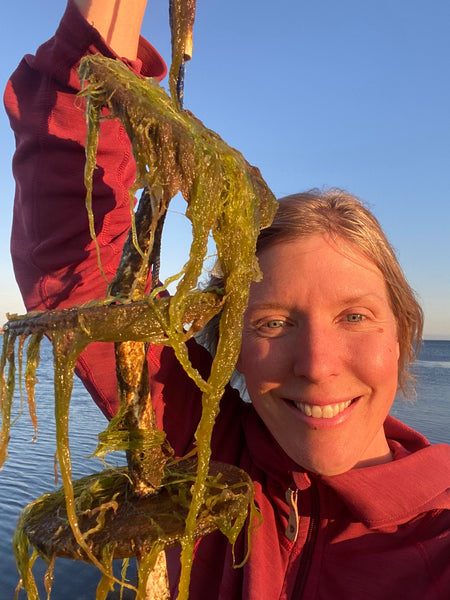 Virtueprojektet 2025