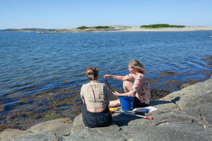 Tångsafari med provsmakning på klipporna