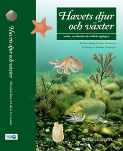 Havets djur och växter