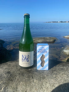 Tångbubbel och havsknäcke
