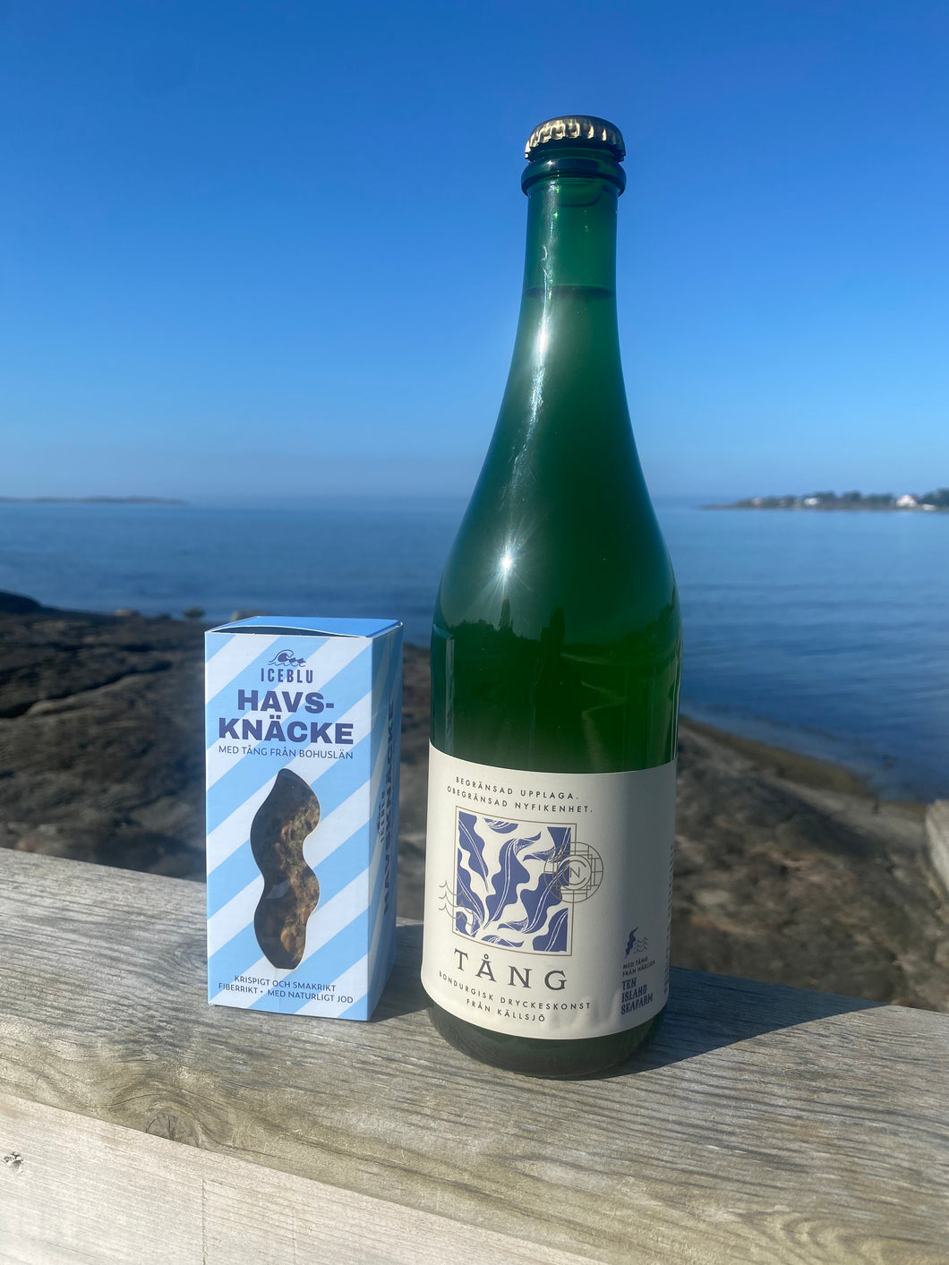 Tångbubbel och havsknäcke
