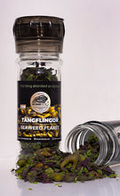 Ladda upp bild till gallerivisning, Triss i tångkryddor
