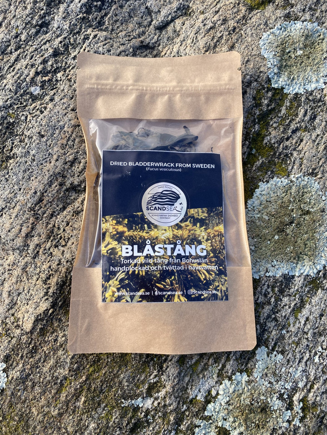 Blåstång