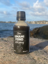 Ladda upp bild till gallerivisning, Ciona umami fond 50 ml
