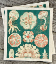 Ladda upp bild till gallerivisning, Disktrasa med maneter
