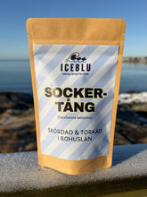 Ladda upp bild till gallerivisning, Sockertång från västkusten
