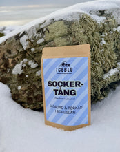 Ladda upp bild till gallerivisning, Sockertång från västkusten
