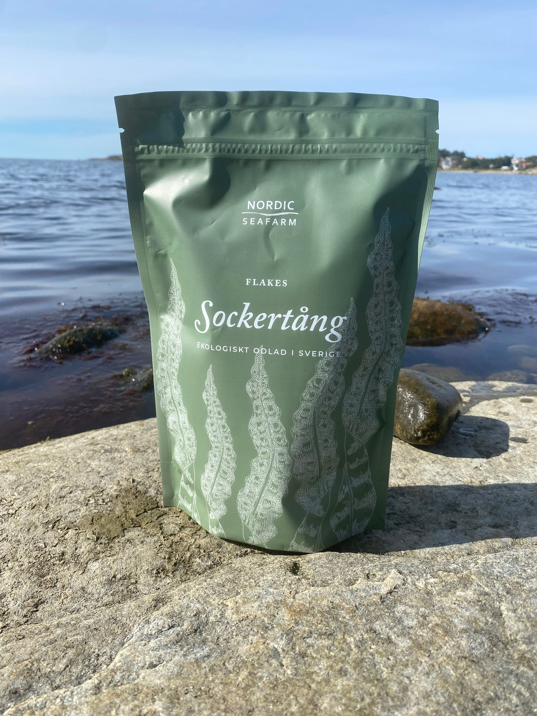 Sockertång från Kosterhavet